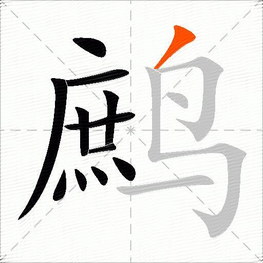 鹧
