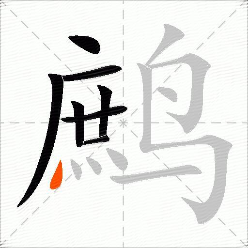 鹧