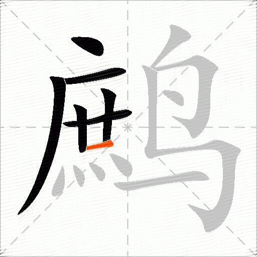 鹧