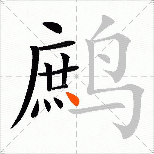 鹧