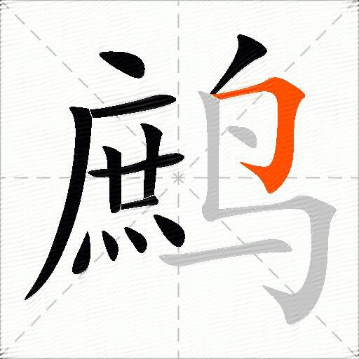 鹧