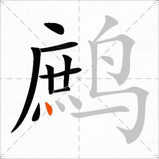 鹧