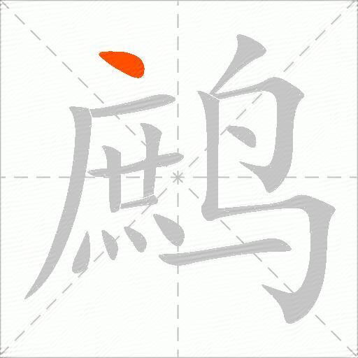 鹧