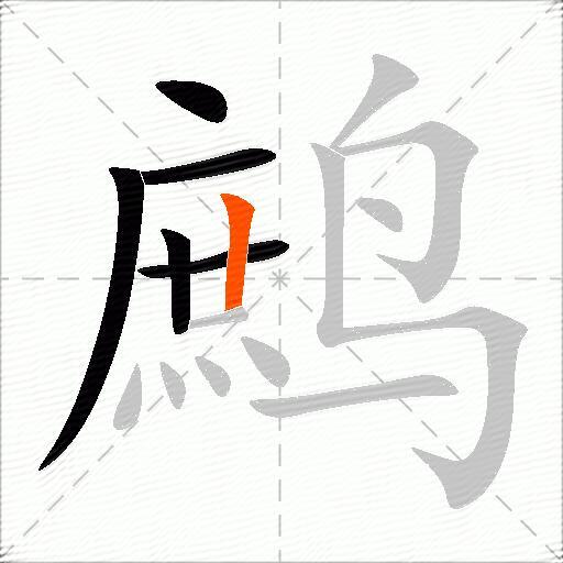 鹧
