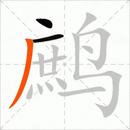 鹧