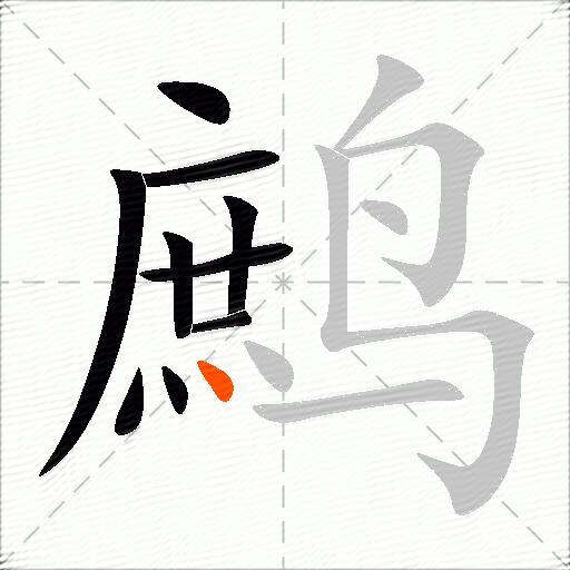 鹧