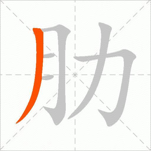 肋