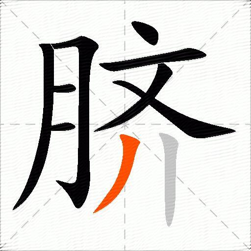 脐