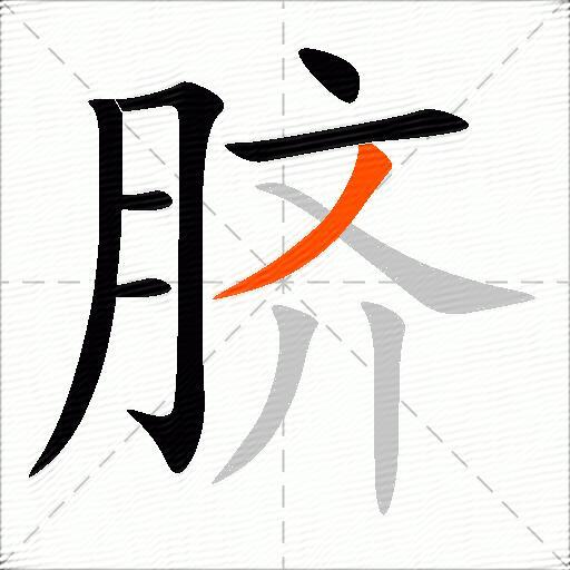 脐