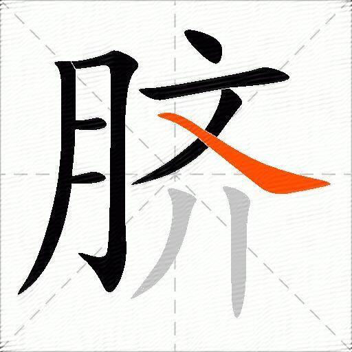 脐